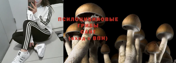 apvp Елизово