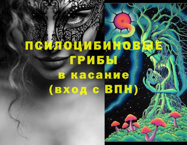 шишки Елабуга