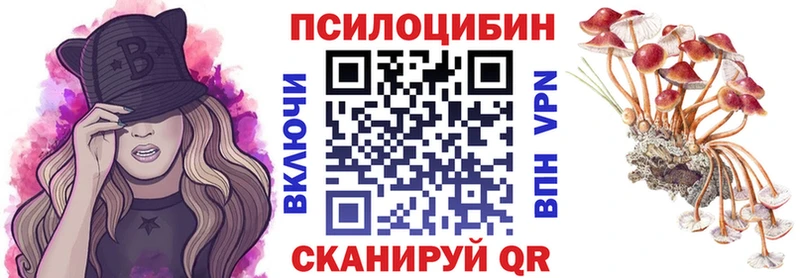 Купить  Новозыбков  Псилоцибиновые грибы MAGIC MUSHROOMS 